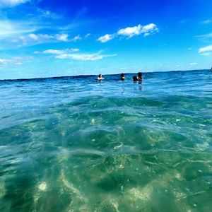 Meet your Posher, Ari